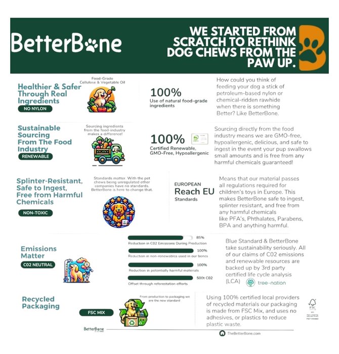 Dog Toy | Betterbone Medium Durable | Beef Flavor