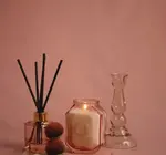 Diffuser | Botanica