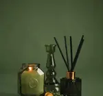 Diffuser | Botanica