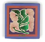 Matches | Jumbo Boxed