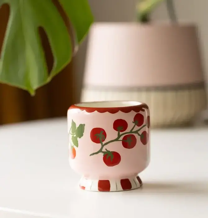 Candle | "A Dopo" Ceramic | Tomato Vine