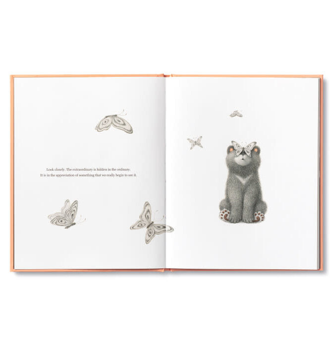 Book | Feeling Grateful (Bear Plush Companion)