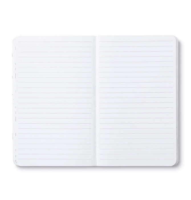 Book | "Write Now" Journal | There Are no Ordinary Cats