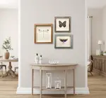 Wall Art | Shadowbox | Helicopter Damselfly