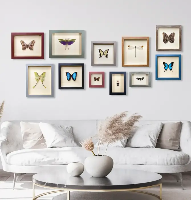 Wall Art | Shadowbox | Helicopter Damselfly