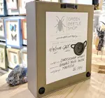 Wall Art | Shadowbox | Luna Moth