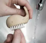 Tool | Nail Brush | Wooden Whale