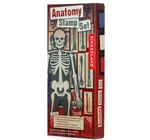 Toy | Stamp Set | Anatomy