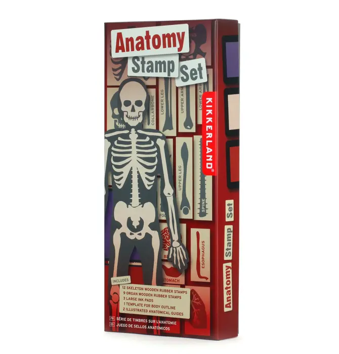 Toy | Stamp Set | Anatomy