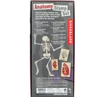 Toy | Stamp Set | Anatomy