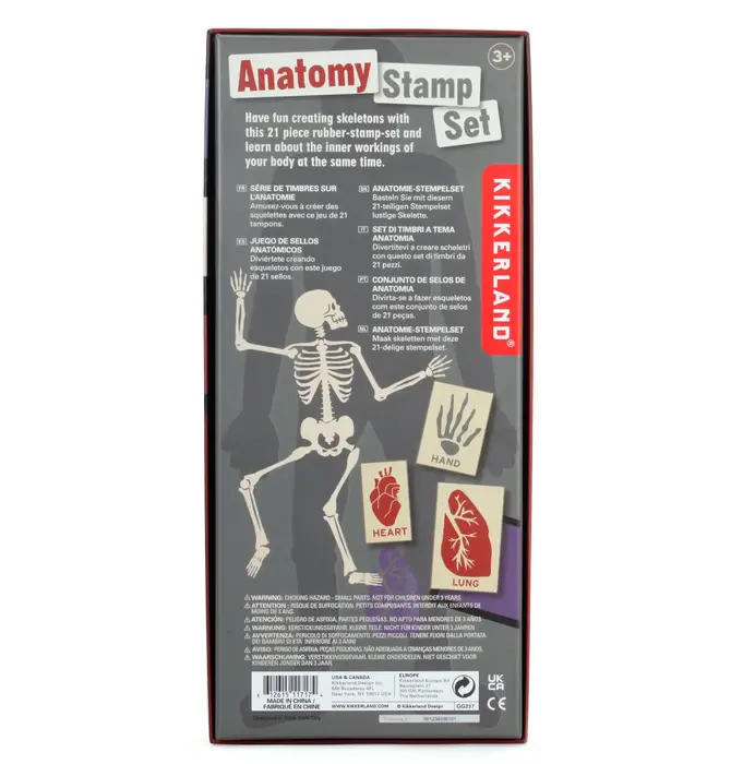 Toy | Stamp Set | Anatomy