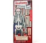 Toy | Stamp Set | Anatomy