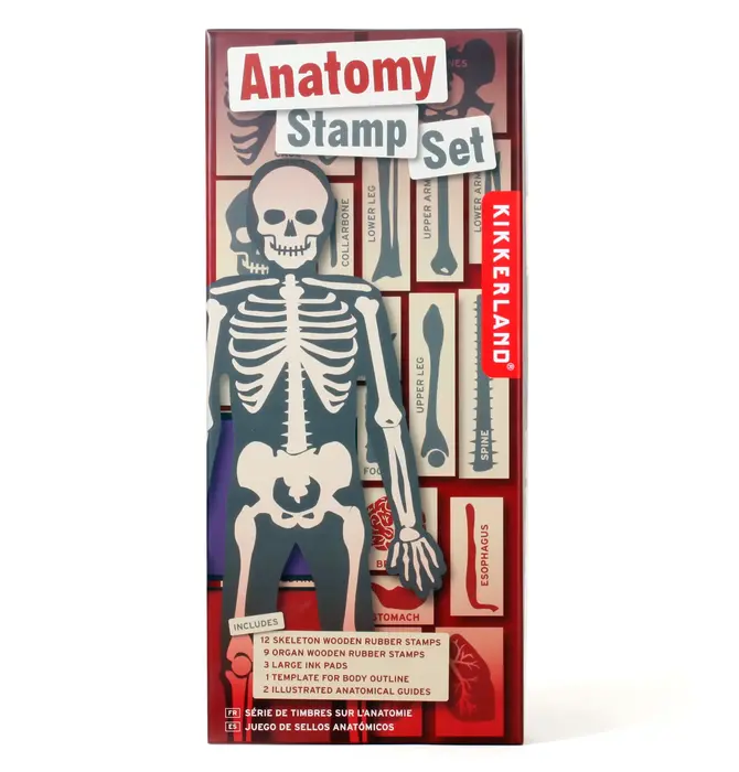 Toy | Stamp Set | Anatomy