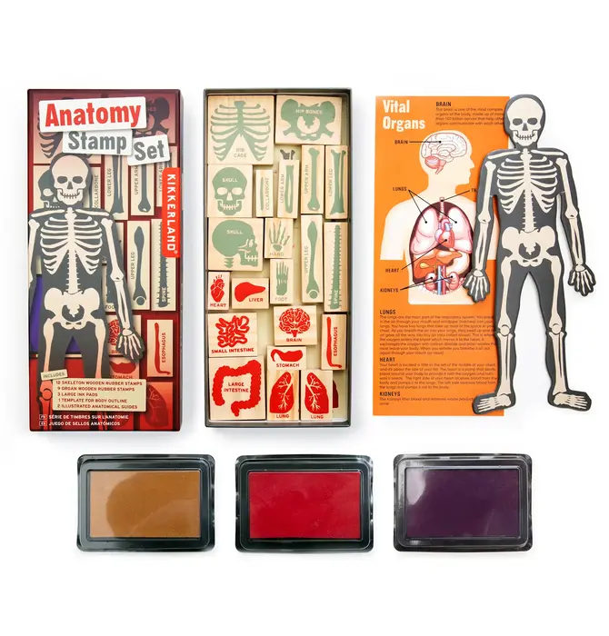 Toy | Stamp Set | Anatomy