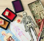 Toy | Stamp Set | Anatomy