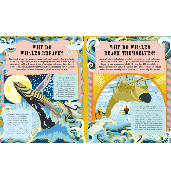 Book | Welcome to the Mysteryverse