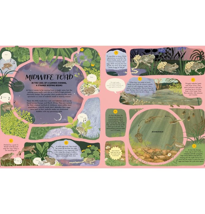 Book | Round and Round Goes Mother Nature
