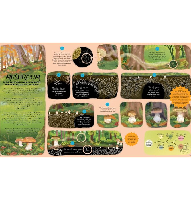 Book | Round and Round Goes Mother Nature