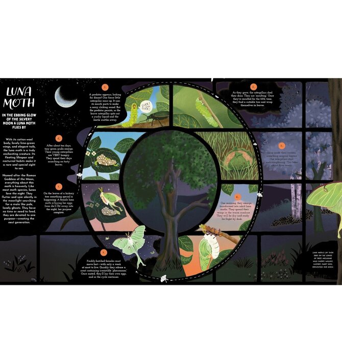 Book | Round and Round Goes Mother Nature