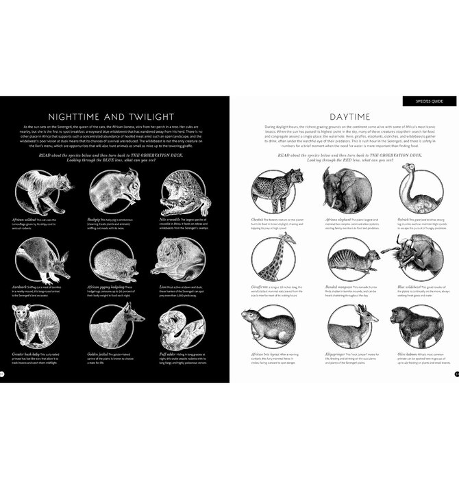 Book | Illumipedia