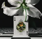 Playing Cards | Grimmlore Tartan