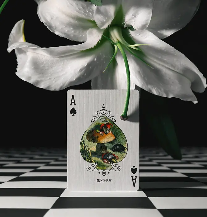 Playing Cards | Grimmlore Tartan