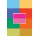 Playing Cards | Braniff