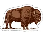 Sticker | Vinyl | Bison/Buffalo