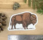 Sticker | Vinyl | Bison/Buffalo