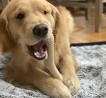 Dog Toy | Betterbone Soft Durable | Beef Flavor