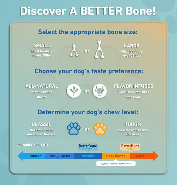 Dog Toy | Betterbone Soft Durable | Beef Flavor