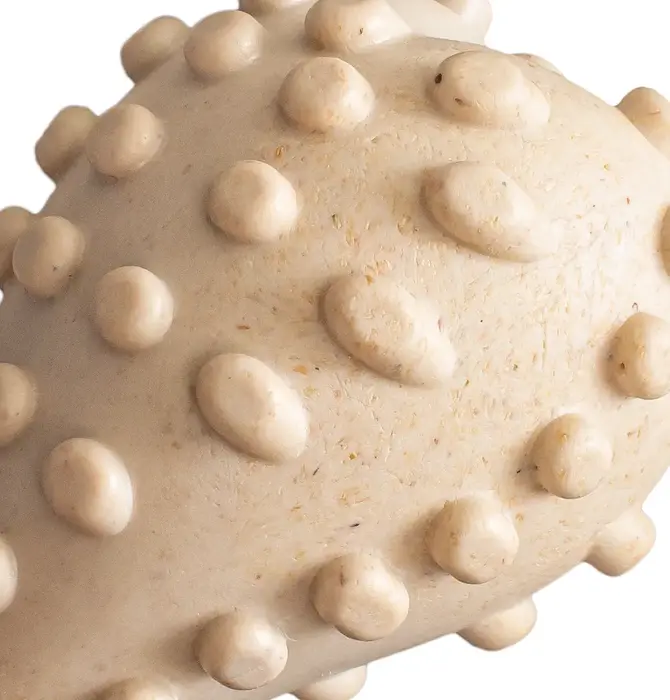 Dog Toy | Betterbone Soft Durable | Beef Flavor