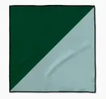 Paw Towel | Microfiber | Minted Oasis Green/Turquoise