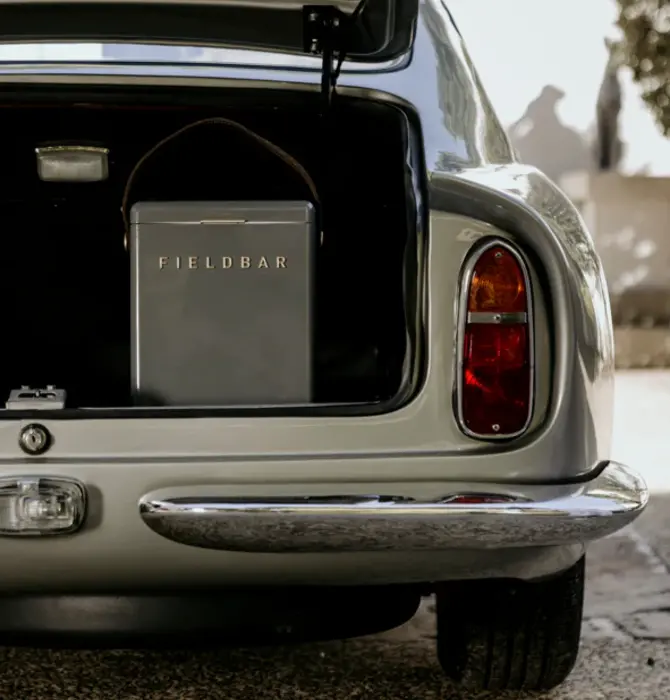 Cooler Box | Hardcase | 10L