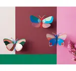 3D Insect Puzzle | Sycamore Butterfly
