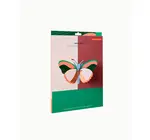 3D Insect Puzzle | Sycamore Butterfly