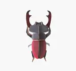 3D Insect Puzzle | Small Beetle