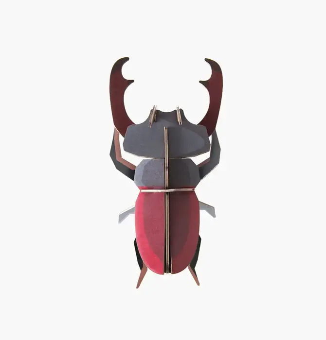 3D Insect Puzzle | Small Beetle