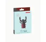 3D Insect Puzzle | Small Beetle