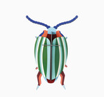 3D Insect Puzzle | Small Beetle
