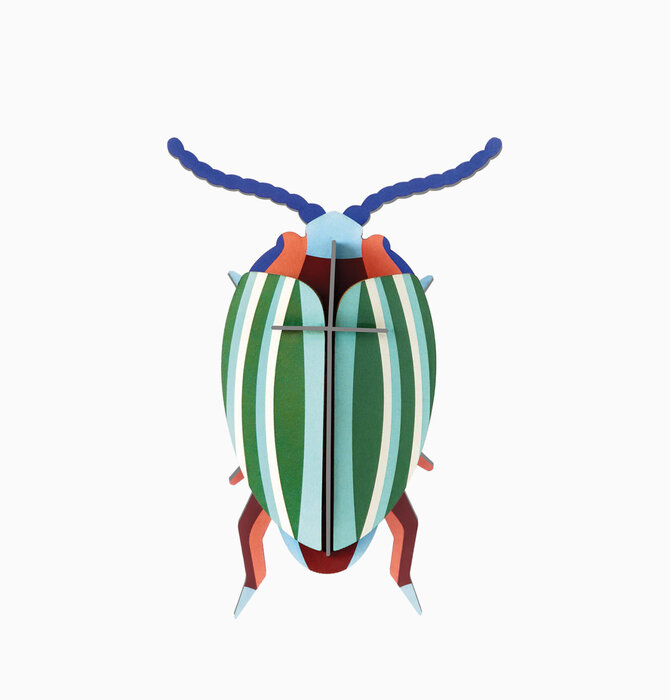 3D Insect Puzzle | Small Beetle