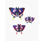 3D Butterfly Puzzle | Set of 3