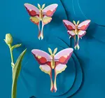 3D Butterfly Puzzle | Set of 3