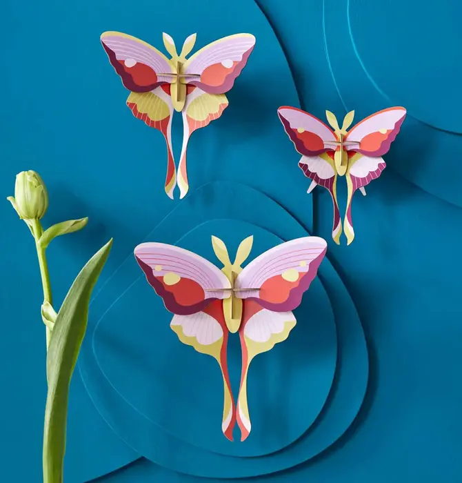 3D Butterfly Puzzle | Set of 3