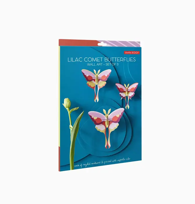 3D Butterfly Puzzle | Set of 3