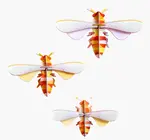 3D Honey Bees Puzzle | Set of 3