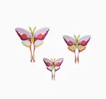 3D Butterfly Puzzle | Set of 3