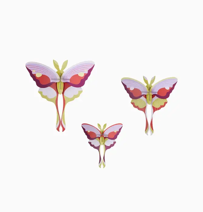 3D Butterfly Puzzle | Set of 3