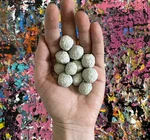 Seed "Love Bombs" Organic | Native Oklahoma Wildflower | 50-Pack