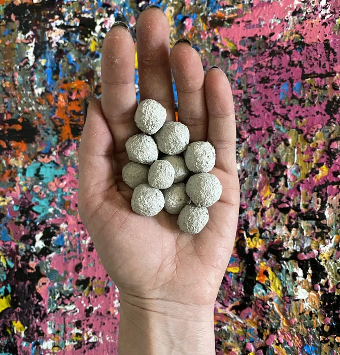 Seed "Love Bombs" Organic | Native Oklahoma Wildflower | 50-Pack